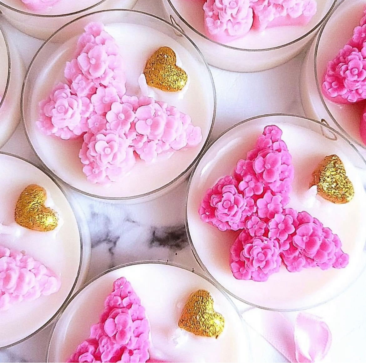 Butterfly’s in jar