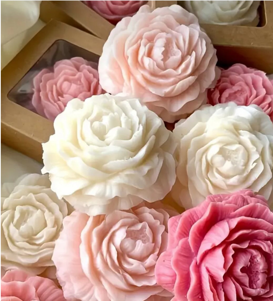 Large peony with coaster