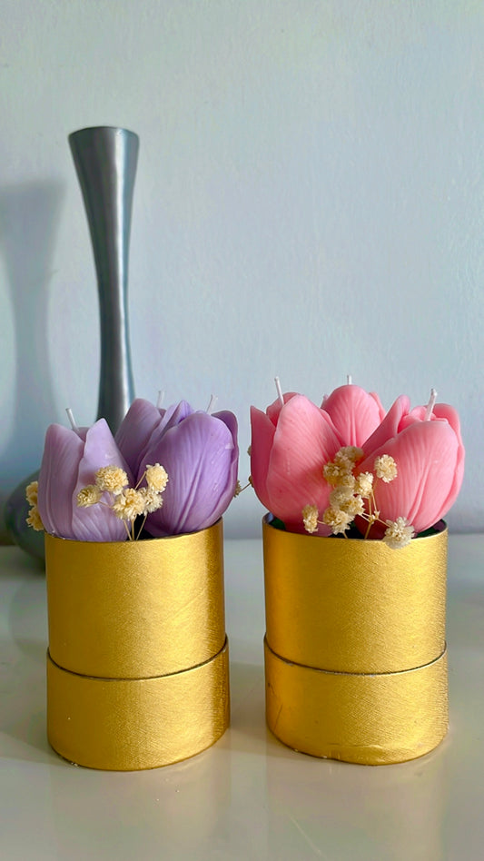 Tulip bouquet