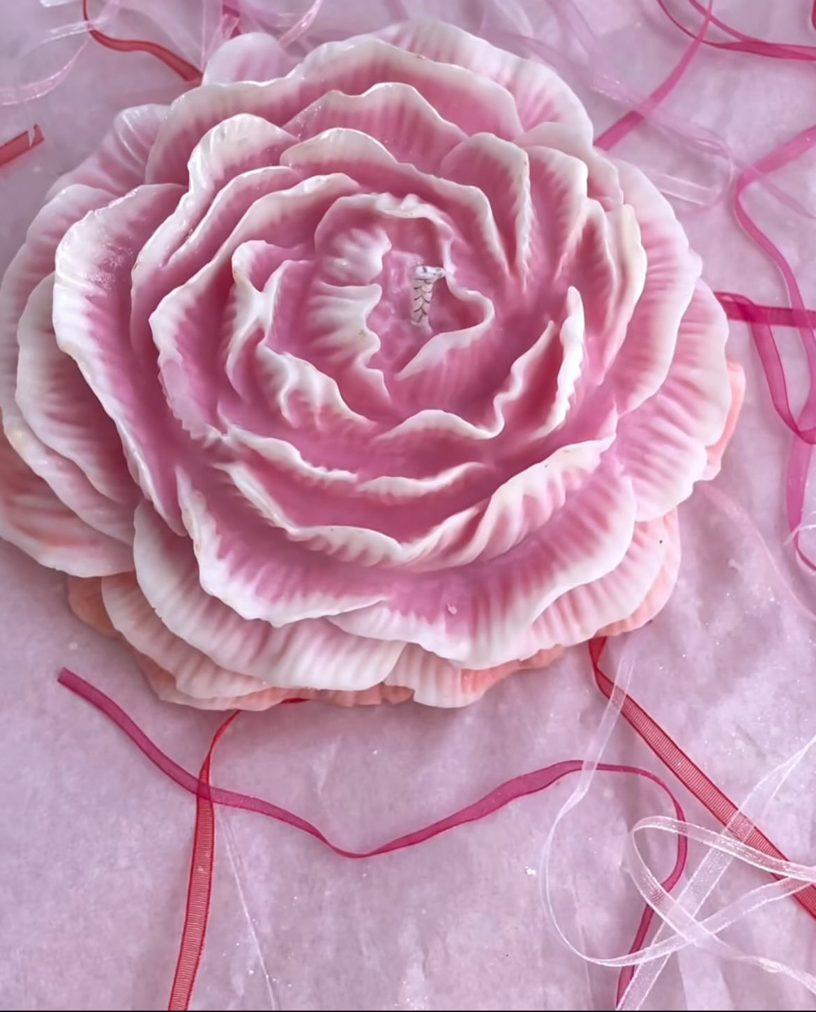 Large Peony