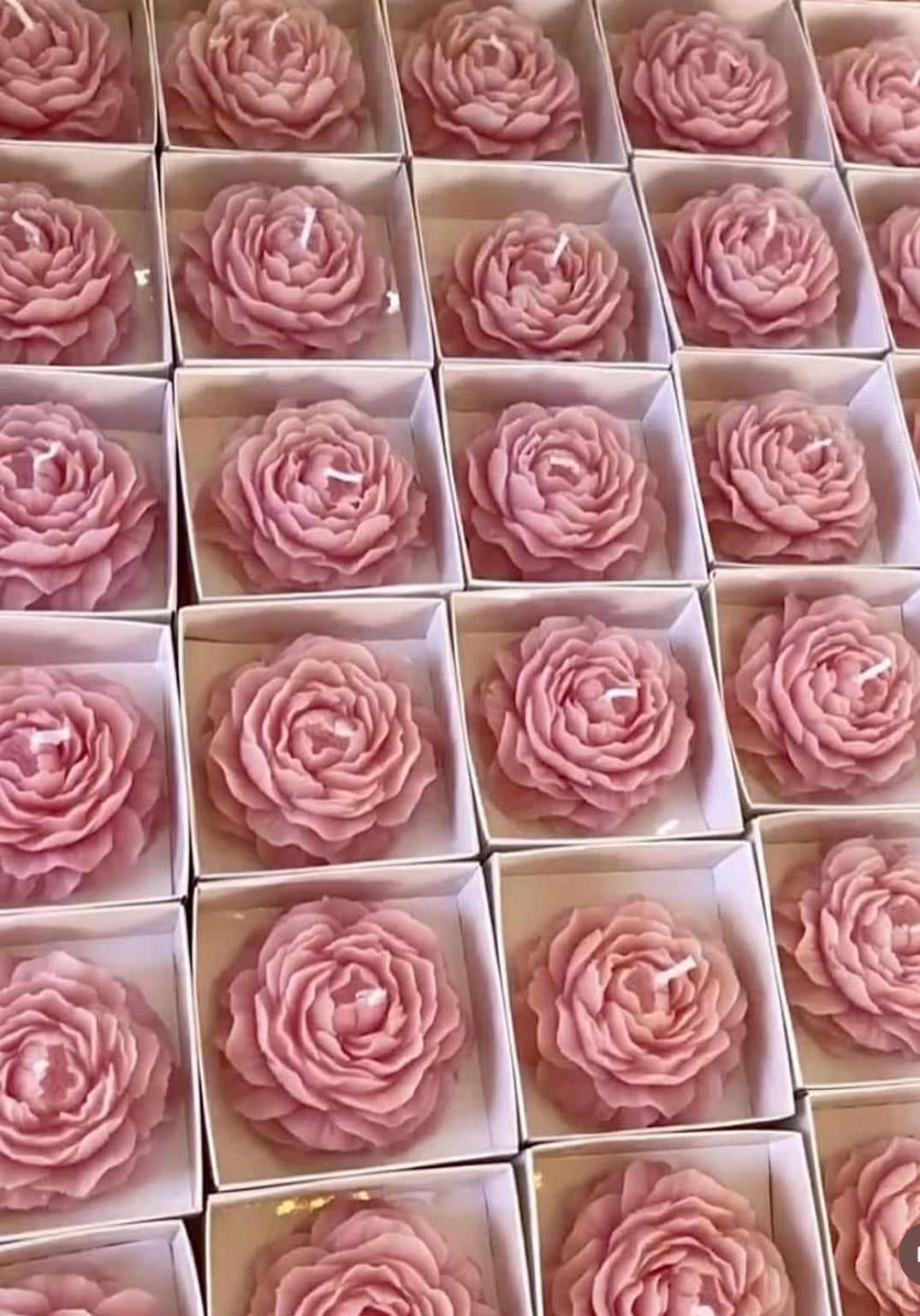 Large peony with coaster